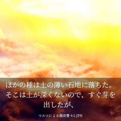Picture 03 - マルコによる福音書 4:5 JPN - ほかの種は土の薄い石地に落ちた。 - Bible Verse Picture