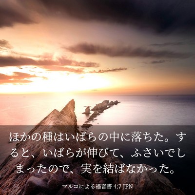 Picture 03 - マルコによる福音書 4:7 JPN - ほかの種はいばらの中に落ちた。す - Bible Verse Picture