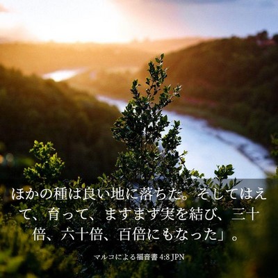 Picture 03 - マルコによる福音書 4:8 JPN - ほかの種は良い地に落ちた。そして - Bible Verse Picture