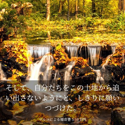Picture 03 - マルコによる福音書 5:10 JPN - そして、自分たちをこの土地から追 - Bible Verse Picture