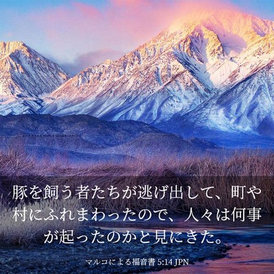 Picture 03 - マルコによる福音書 5:14 JPN - 豚を飼う者たちが逃げ出して、町や - Bible Verse Picture