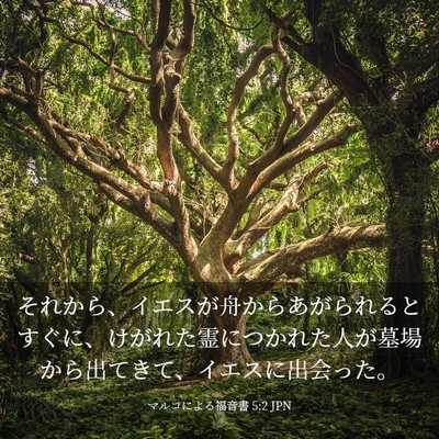 Picture 03 - マルコによる福音書 5:2 JPN - それから、イエスが舟からあがられ - Bible Verse Picture