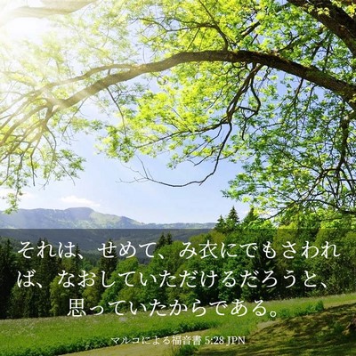 Picture 03 - マルコによる福音書 5:28 JPN - それは、せめて、み衣にでもさわれ - Bible Verse Picture