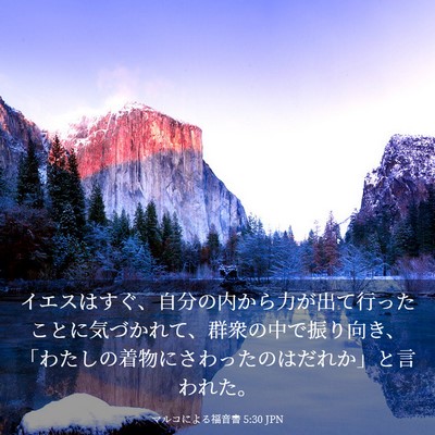 Picture 03 - マルコによる福音書 5:30 JPN - イエスはすぐ、自分の内から力が出 - Bible Verse Picture