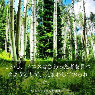 Picture 03 - マルコによる福音書 5:32 JPN - しかし、イエスはさわった者を見つ - Bible Verse Picture