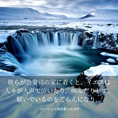 Picture 03 - マルコによる福音書 5:38 JPN - 彼らが会堂司の家に着くと、イエス - Bible Verse Picture