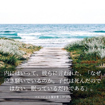 Picture 03 - マルコによる福音書 5:39 JPN - 内にはいって、彼らに言われた、「 - Bible Verse Picture