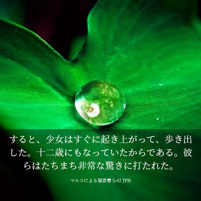 Picture 03 - マルコによる福音書 5:42 JPN - すると、少女はすぐに起き上がって - Bible Verse Picture