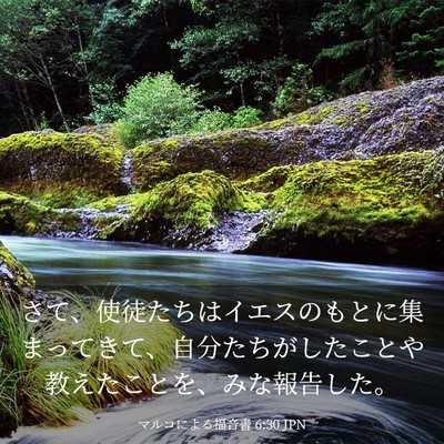Picture 03 - マルコによる福音書 6:30 JPN - さて、使徒たちはイエスのもとに集 - Bible Verse Picture