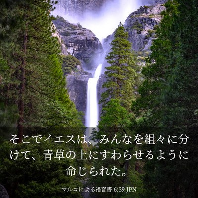 Picture 03 - マルコによる福音書 6:39 JPN - そこでイエスは、みんなを組々に分 - Bible Verse Picture