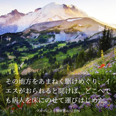 Picture 03 - マルコによる福音書 6:55 JPN - その地方をあまねく駆けめぐり、イ - Bible Verse Picture