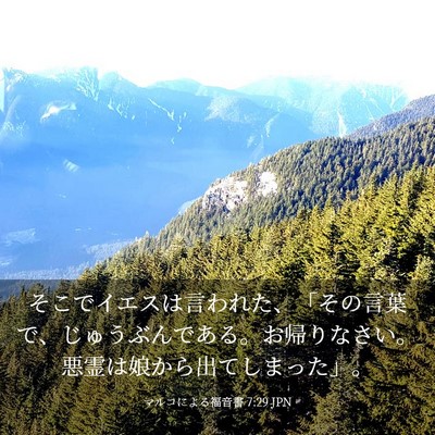 Picture 03 - マルコによる福音書 7:29 JPN - そこでイエスは言われた、「その言 - Bible Verse Picture