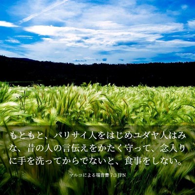 Picture 03 - マルコによる福音書 7:3 JPN - もともと、パリサイ人をはじめユダ - Bible Verse Picture