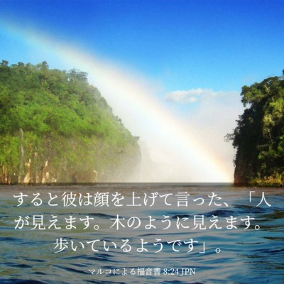 Picture 03 - マルコによる福音書 8:24 JPN - すると彼は顔を上げて言った、「人 - Bible Verse Picture