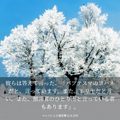 Picture 03 - マルコによる福音書 8:28 JPN - 彼らは答えて言った、「バプテスマ - Bible Verse Picture