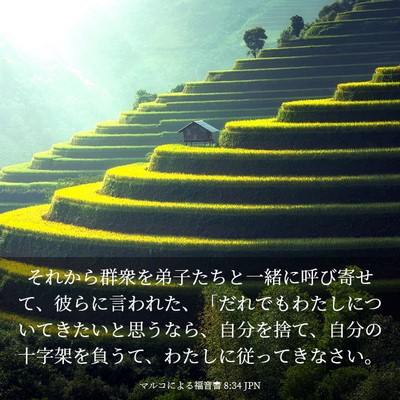 Picture 03 - マルコによる福音書 8:34 JPN - それから群衆を弟子たちと一緒に呼 - Bible Verse Picture