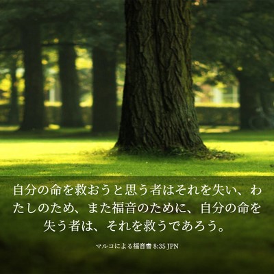 Picture 03 - マルコによる福音書 8:35 JPN - 自分の命を救おうと思う者はそれを - Bible Verse Picture