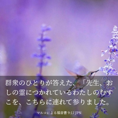 Picture 03 - マルコによる福音書 9:17 JPN - 群衆のひとりが答えた、「先生、お - Bible Verse Picture