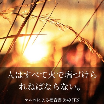 Picture 03 - マルコによる福音書 9:49 JPN - 人はすべて火で塩づけられねばなら - Bible Verse Picture