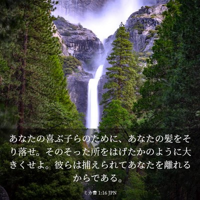 Picture 03 - ミカ書 1:16 JPN - あなたの喜ぶ子らのために、あなた - Bible Verse Picture