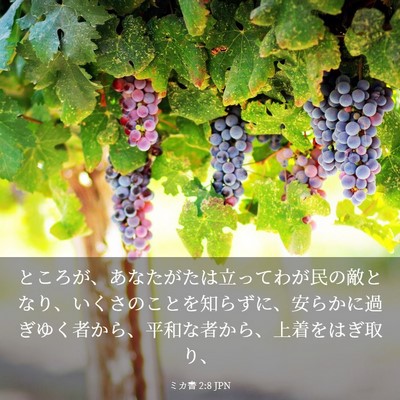 Picture 03 - ミカ書 2:8 JPN - ところが、あなたがたは立ってわが - Bible Verse Picture