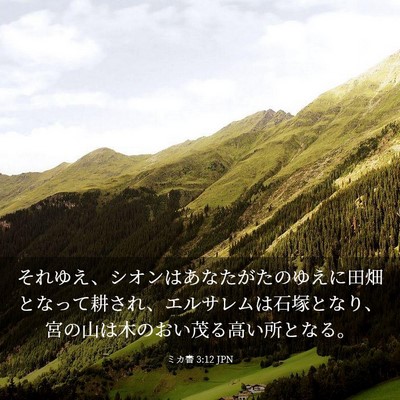 Picture 03 - ミカ書 3:12 JPN - それゆえ、シオンはあなたがたのゆ - Bible Verse Picture