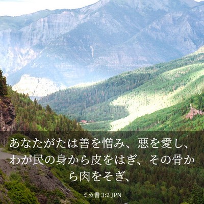 Picture 03 - ミカ書 3:2 JPN - あなたがたは善を憎み、悪を愛し、 - Bible Verse Picture