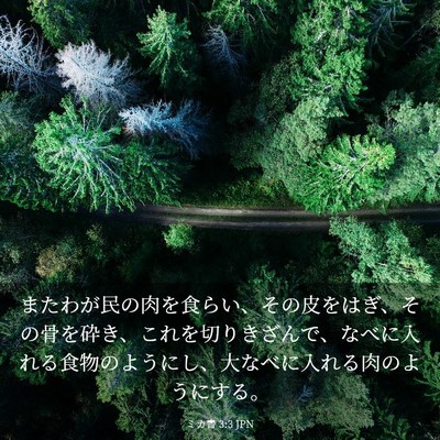 Picture 03 - ミカ書 3:3 JPN - またわが民の肉を食らい、その皮を - Bible Verse Picture