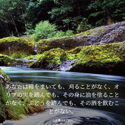 Picture 03 - ミカ書 6:15 JPN - あなたは種をまいても、刈ることが - Bible Verse Picture
