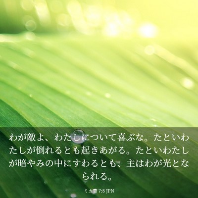 Picture 03 - ミカ書 7:8 JPN - わが敵よ、わたしについて喜ぶな。 - Bible Verse Picture