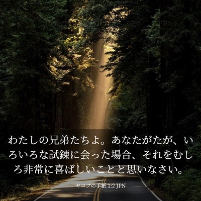 Picture 03 - ヤコブの手紙 1:2 JPN - わたしの兄弟たちよ。あなたがたが - Bible Verse Picture