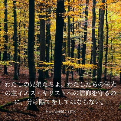 Picture 03 - ヤコブの手紙 2:1 JPN - わたしの兄弟たちよ。わたしたちの - Bible Verse Picture