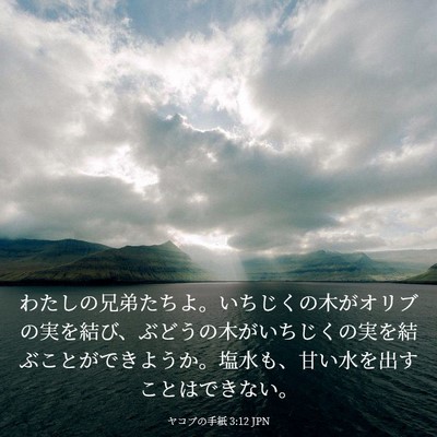 Picture 03 - ヤコブの手紙 3:12 JPN - わたしの兄弟たちよ。いちじくの木 - Bible Verse Picture