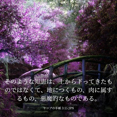 Picture 03 - ヤコブの手紙 3:15 JPN - そのような知恵は、上から下ってき - Bible Verse Picture