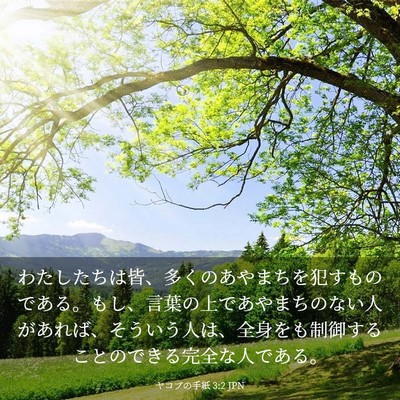 Picture 03 - ヤコブの手紙 3:2 JPN - わたしたちは皆、多くのあやまちを - Bible Verse Picture