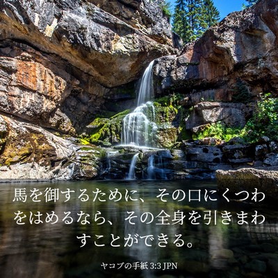 Picture 03 - ヤコブの手紙 3:3 JPN - 馬を御するために、その口にくつわ - Bible Verse Picture