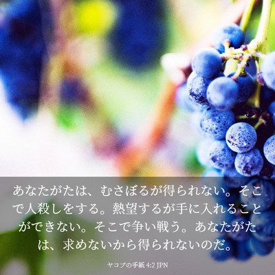 Picture 03 - ヤコブの手紙 4:2 JPN - あなたがたは、むさぼるが得られな - Bible Verse Picture
