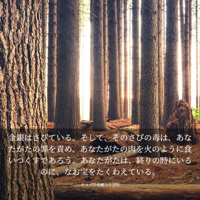 Picture 03 - ヤコブの手紙 5:3 JPN - 金銀はさびている。そして、そのさ - Bible Verse Picture