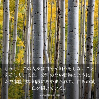 Picture 03 - ユダの手紙 1:10 JPN - しかし、この人々は自分が知りもし - Bible Verse Picture