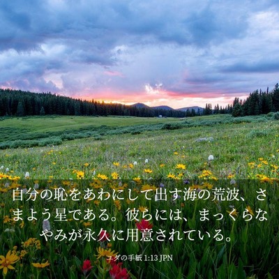 Picture 03 - ユダの手紙 1:13 JPN - 自分の恥をあわにして出す海の荒波 - Bible Verse Picture