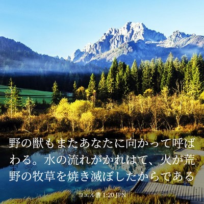 Picture 03 - ヨエル書 1:20 JPN - 野の獣もまたあなたに向かって呼ば - Bible Verse Picture