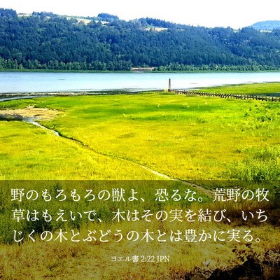 Picture 03 - ヨエル書 2:22 JPN - 野のもろもろの獣よ、恐るな。荒野 - Bible Verse Picture