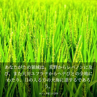 Picture 03 - ヨシュア記 1:4 JPN - あなたがたの領域は、荒野からレバ - Bible Verse Picture