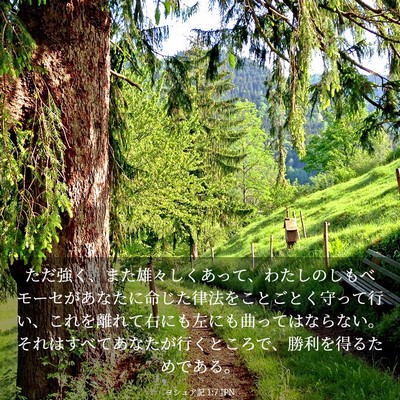 Picture 03 - ヨシュア記 1:7 JPN - ただ強く、また雄々しくあって、わ - Bible Verse Picture