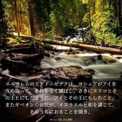 Picture 03 - ヨシュア記 10:1 JPN - エルサレムの王アドニゼデクは、ヨ - Bible Verse Picture