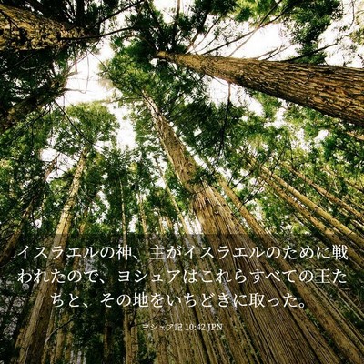 Picture 03 - ヨシュア記 10:42 JPN - イスラエルの神、主がイスラエルの - Bible Verse Picture
