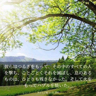 Picture 03 - ヨシュア記 11:11 JPN - 彼らはつるぎをもって、その中のす - Bible Verse Picture