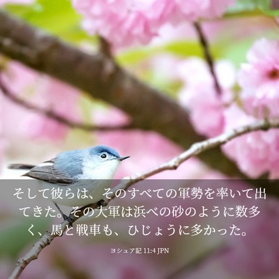 Picture 03 - ヨシュア記 11:4 JPN - そして彼らは、そのすべての軍勢を - Bible Verse Picture