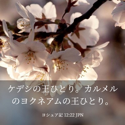 Picture 03 - ヨシュア記 12:22 JPN - ケデシの王ひとり。カルメルのヨク - Bible Verse Picture