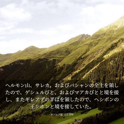 Picture 03 - ヨシュア記 12:5 JPN - ヘルモン山、サレカ、およびバシャ - Bible Verse Picture